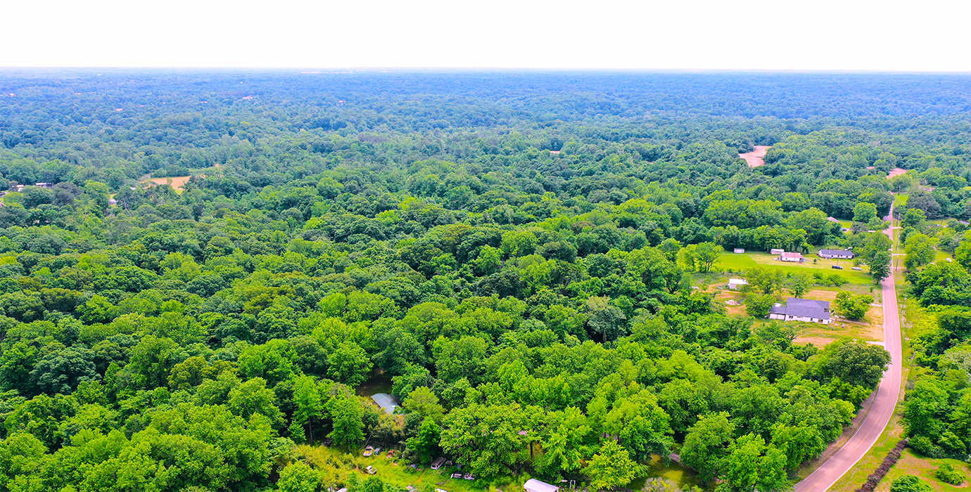 9.81-Acre Retreat in Drummonds, TN: Build, Farm, or Relax! - 24% off Market Value!