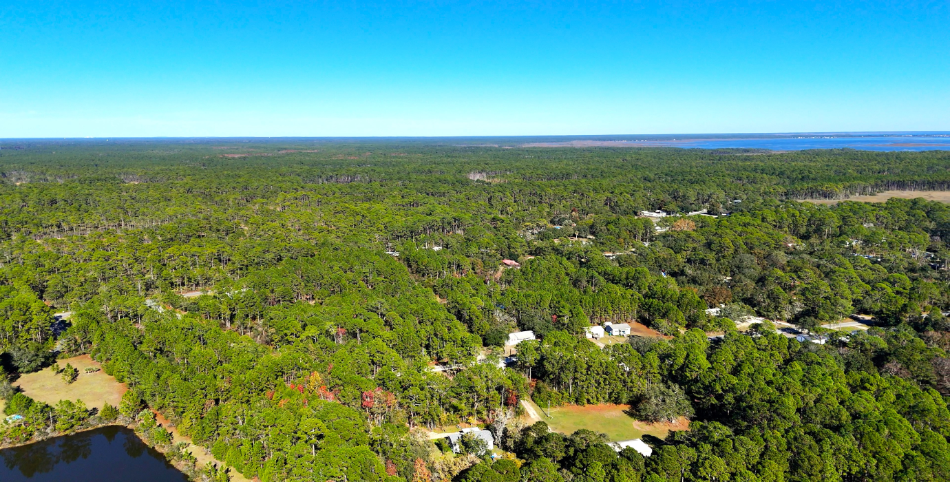 10-Lot Bundle Near Tallahassee & Gulf Coast – Perfect for Investment or Vacation Homes! 30% Off Market Value