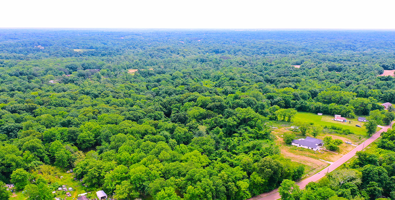 9.81-Acre Retreat in Drummonds, TN: Build, Farm, or Relax! - 24% off Market Value!