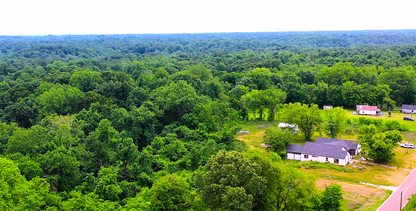 9.81-Acre Retreat in Drummonds, TN: Build, Farm, or Relax! - 24% off Market Value!