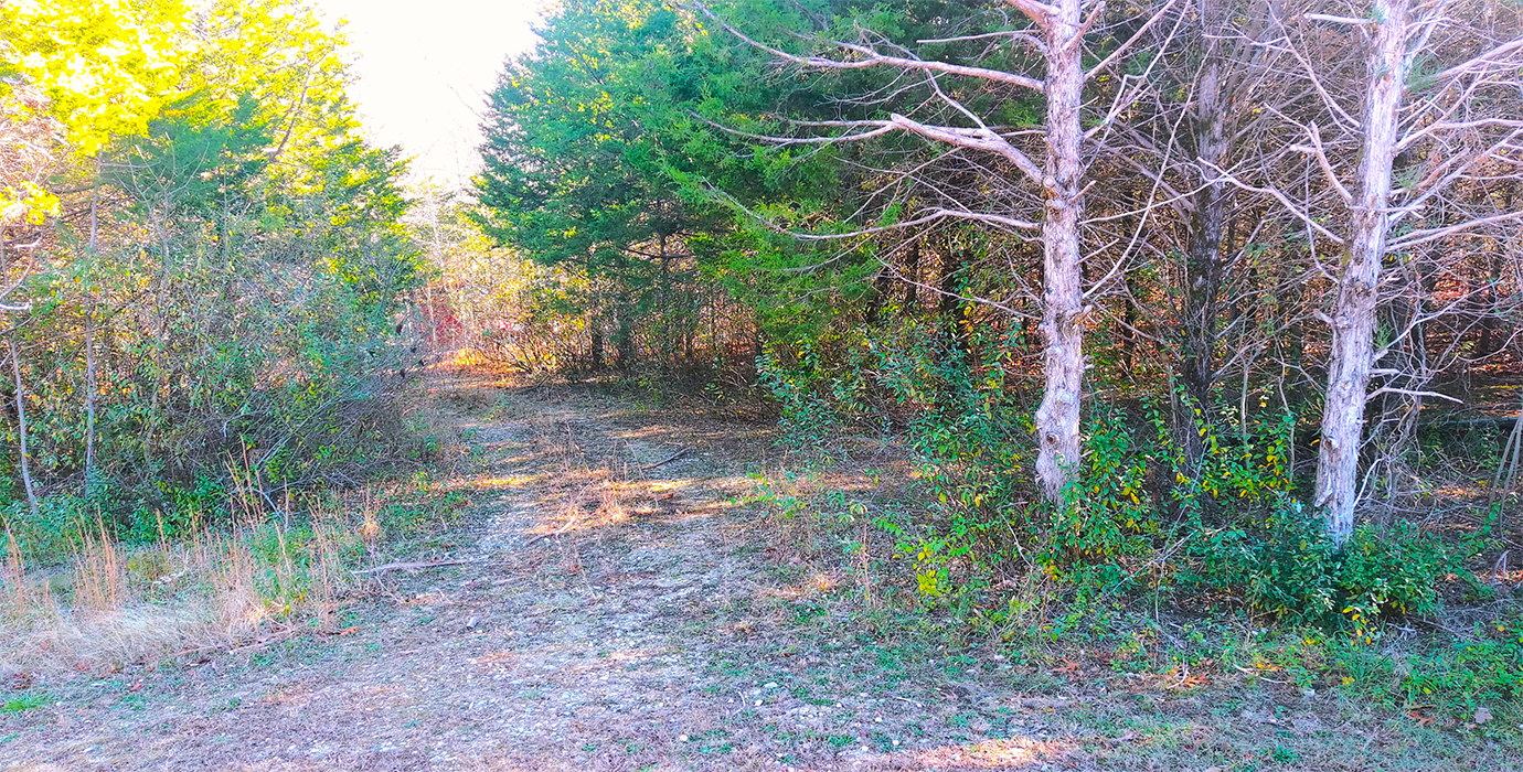 Camp, Expand +  Bring Your Dreams to Life! 2.32 Acres in Grubville, MO! - 23% off Market Value!