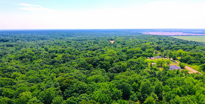 9.81-Acre Retreat in Drummonds, TN: Build, Farm, or Relax! - 24% off Market Value!