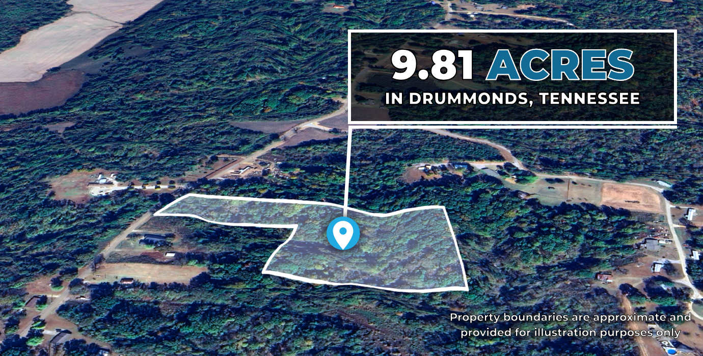 9.81-Acre Retreat in Drummonds, TN: Build, Farm, or Relax! - 24% off Market Value!