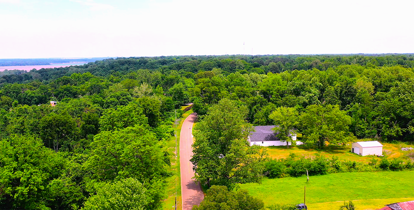 9.81-Acre Retreat in Drummonds, TN: Build, Farm, or Relax! - 24% off Market Value!