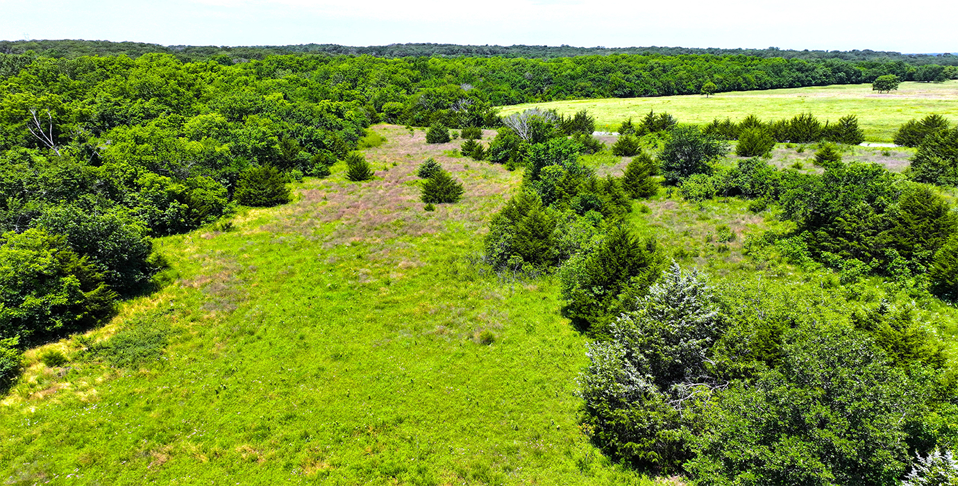 Dream Property Alert! No Restrictions! Boundless Potential Near Oklahoma City!