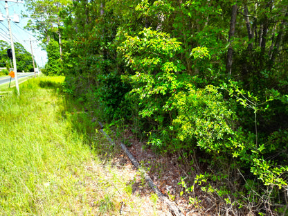 Coastal Lot Near New Orleans: Ready-to-Build for Residential + Investment