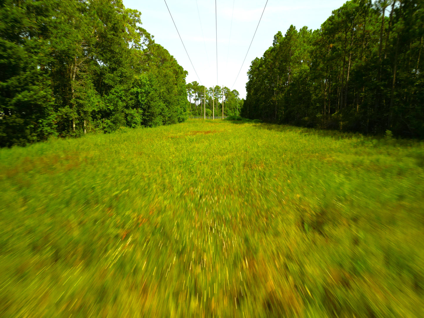 Coastal Lot Near New Orleans: Ready-to-Build for Residential + Investment