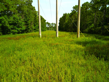 Coastal Lot Near New Orleans: Ready-to-Build for Residential + Investment