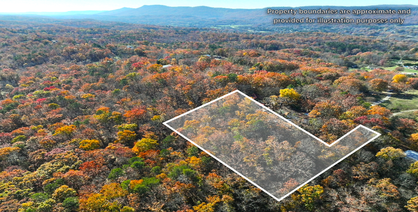 Georgia Estate Land: 9+ Acres, 20 Mins to Chattanooga! - 23% off Market Value!