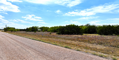 1.97-Acre Lot in White Bluff – Build Near Lake Whitney! - 33% off Market Value!