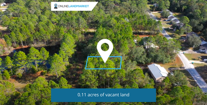 0.11 Acres in Panacea, FL - Coastal Tranquility 40 mins from Tally: Build, Airbnb, Invest in this Tiny House Approved Paradise!