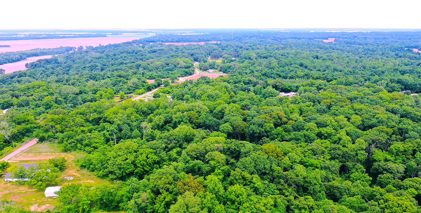 9.81-Acre Retreat in Drummonds, TN: Build, Farm, or Relax! - 24% off Market Value!