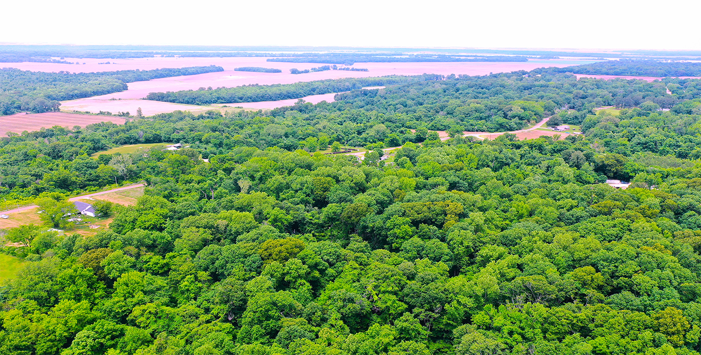 9.81-Acre Retreat in Drummonds, TN: Build, Farm, or Relax! - 24% off Market Value!