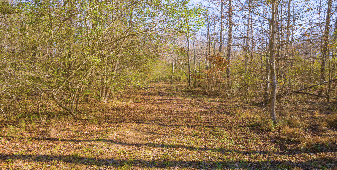 25.10 Acres, 3 Lots, 1 Dream: Georgia's Best Deal! - 23% off Market Value!