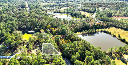 10-Lot Bundle Near Tallahassee & Gulf Coast – Perfect for Investment or Vacation Homes! 30% Off Market Value