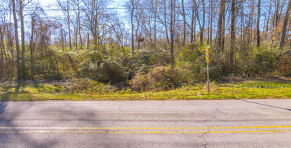 25.10 Acres, 3 Lots, 1 Dream: Georgia's Best Deal! - 23% off Market Value!