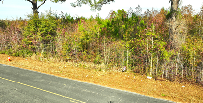 Spacious Near-Beach Home or Income Property | 1.12 Acres in NC - 23% off Market Value!