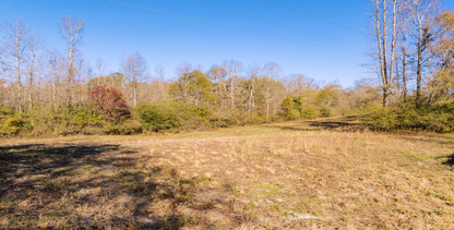 25.10 Acres, 3 Lots, 1 Dream: Georgia's Best Deal! - 23% off Market Value!