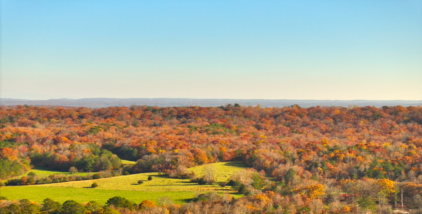 Georgia Estate Land: 9+ Acres, 20 Mins to Chattanooga! - 23% off Market Value!