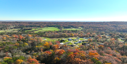 Georgia Estate Land: 9+ Acres, 20 Mins to Chattanooga! - 23% off Market Value!