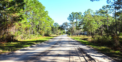 10-Lot Bundle Near Tallahassee & Gulf Coast – Perfect for Investment or Vacation Homes! 30% Off Market Value