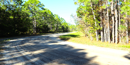 10-Lot Bundle Near Tallahassee & Gulf Coast – Perfect for Investment or Vacation Homes! 30% Off Market Value