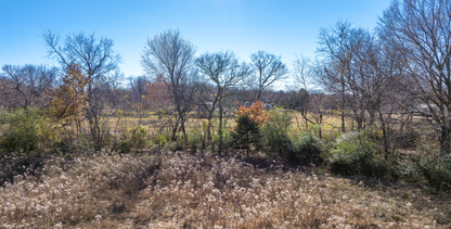 Expand Your Dreams: 3-Lot Package Near Tulsa with Growth Potential! - 23% off Market Value!