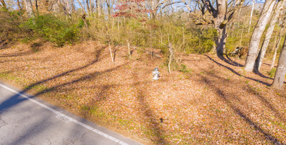 25.10 Acres, 3 Lots, 1 Dream: Georgia's Best Deal! - 23% off Market Value!