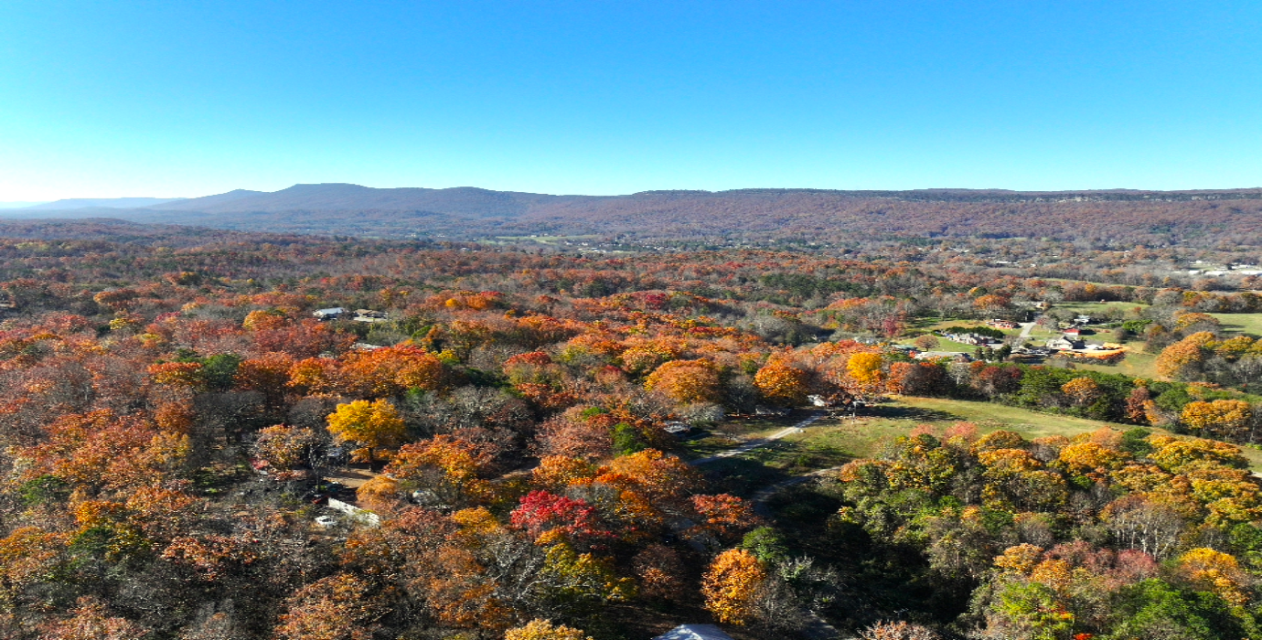 Georgia Estate Land: 9+ Acres, 20 Mins to Chattanooga! - 23% off Market Value!