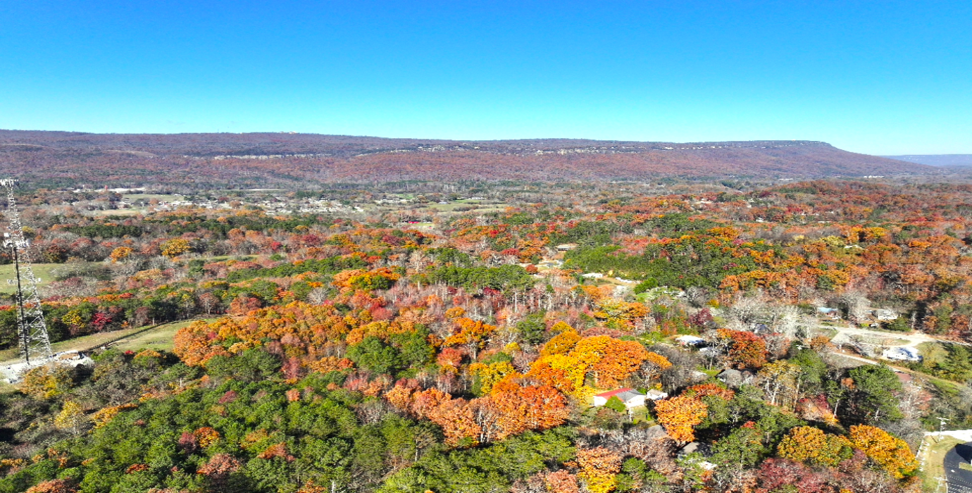 Georgia Estate Land: 9+ Acres, 20 Mins to Chattanooga! - 23% off Market Value!