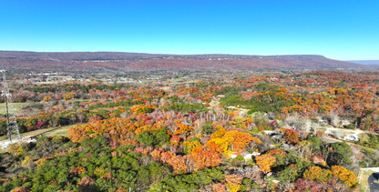 Georgia Estate Land: 9+ Acres, 20 Mins to Chattanooga! - 23% off Market Value!