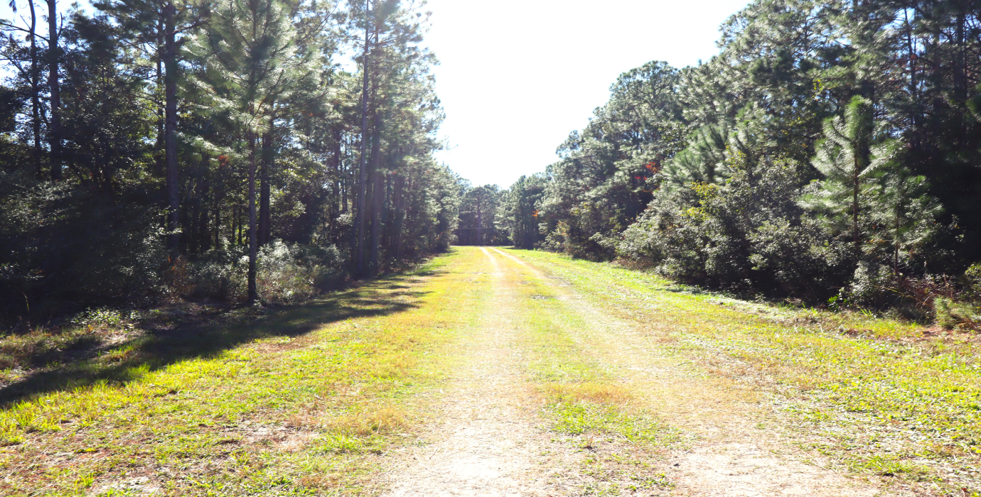 10-Lot Bundle Near Tallahassee & Gulf Coast – Perfect for Investment or Vacation Homes! 30% Off Market Value