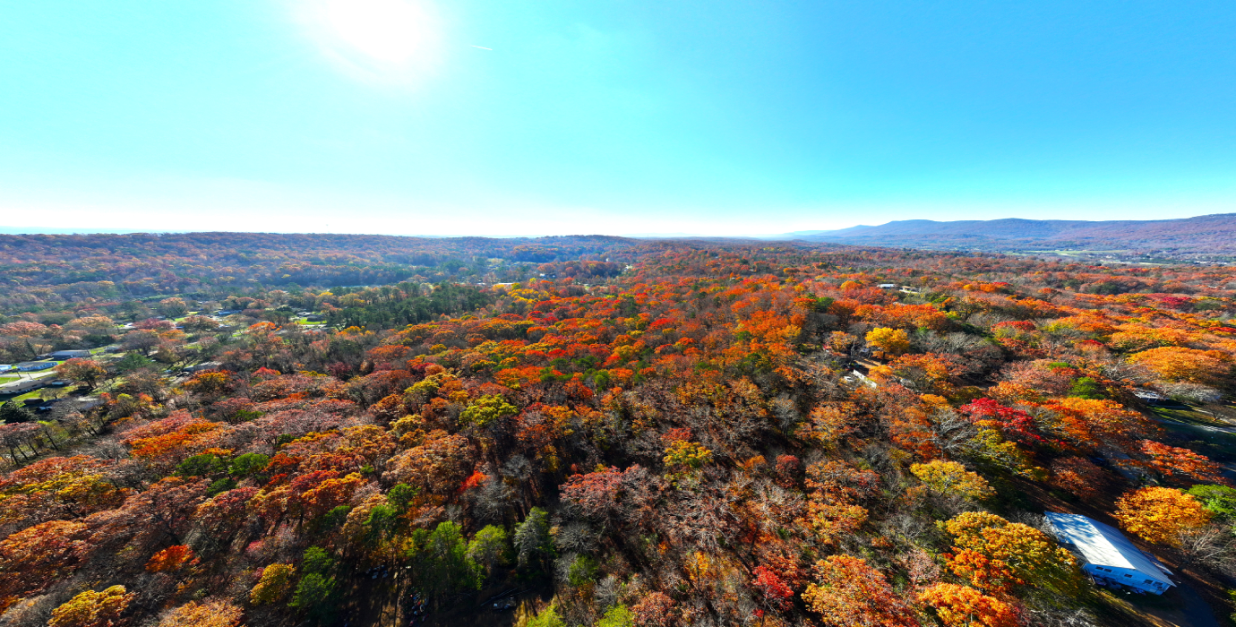 Georgia Estate Land: 9+ Acres, 20 Mins to Chattanooga! - 23% off Market Value!