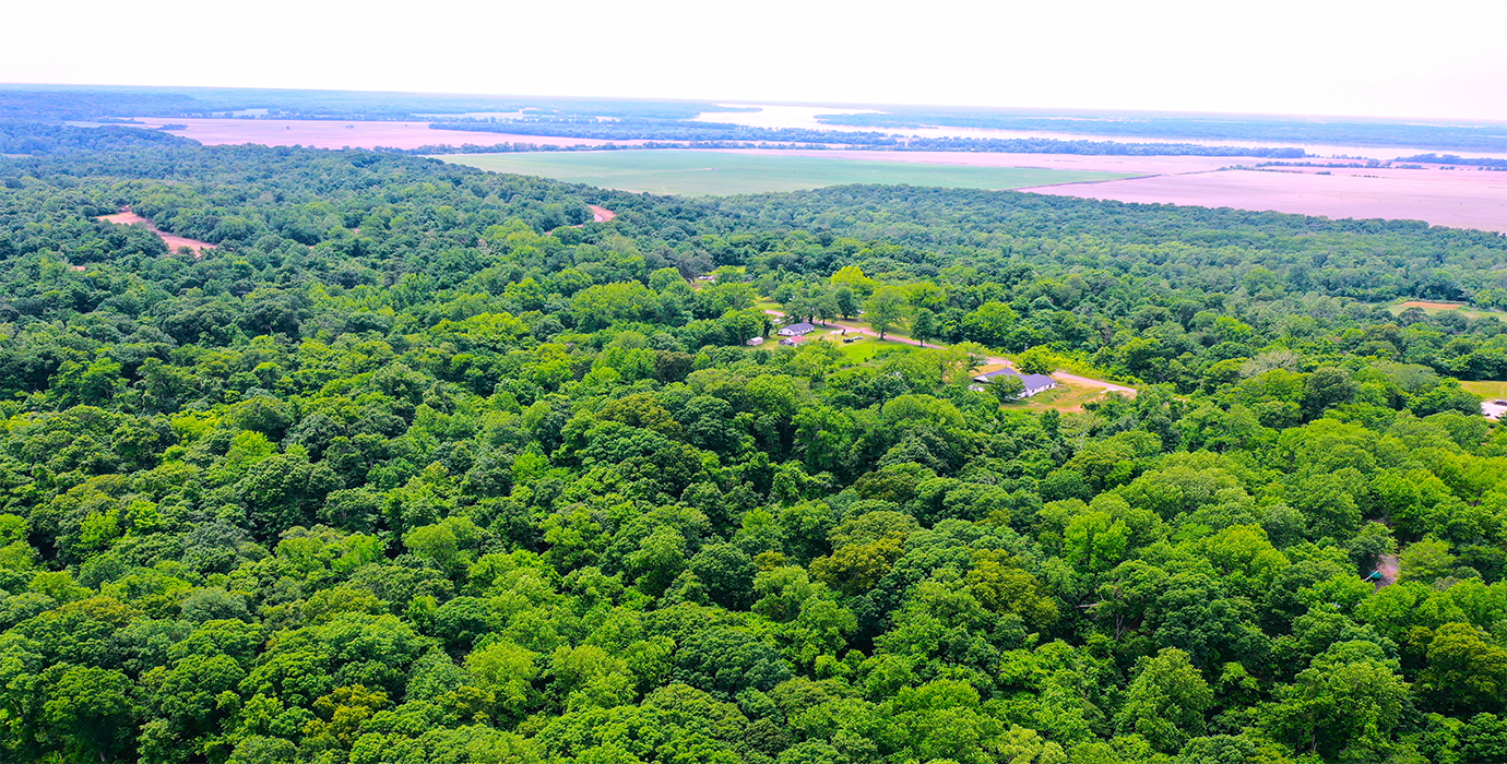 9.81-Acre Retreat in Drummonds, TN: Build, Farm, or Relax! - 24% off Market Value!