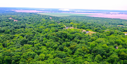 9.81-Acre Retreat in Drummonds, TN: Build, Farm, or Relax! - 24% off Market Value!