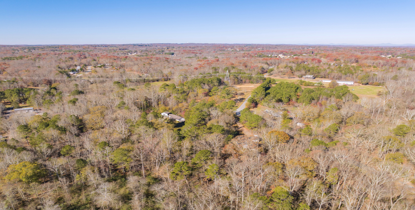 25.10 Acres, 3 Lots, 1 Dream: Georgia's Best Deal! - 23% off Market Value!