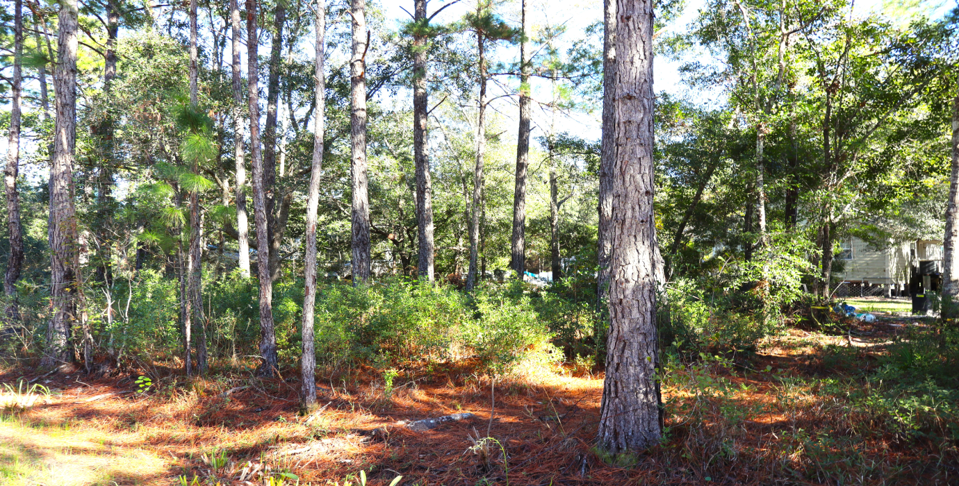 10-Lot Bundle Near Tallahassee & Gulf Coast – Perfect for Investment or Vacation Homes! 30% Off Market Value