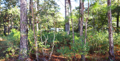 10-Lot Bundle Near Tallahassee & Gulf Coast – Perfect for Investment or Vacation Homes! 30% Off Market Value