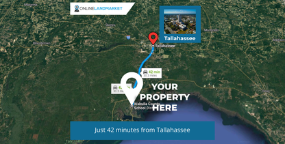 0.11 Acres in Panacea, FL - Coastal Tranquility 40 mins from Tally: Build, Airbnb, Invest in this Tiny House Approved Paradise!