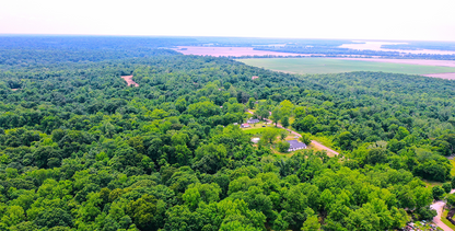 9.81-Acre Retreat in Drummonds, TN: Build, Farm, or Relax! - 24% off Market Value!