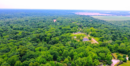 9.81-Acre Retreat in Drummonds, TN: Build, Farm, or Relax! - 24% off Market Value!