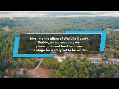 0.11 Acres in Panacea, FL - Coastal Tranquility 40 mins from Tally: Build, Airbnb, Invest in this Tiny House Approved Paradise!