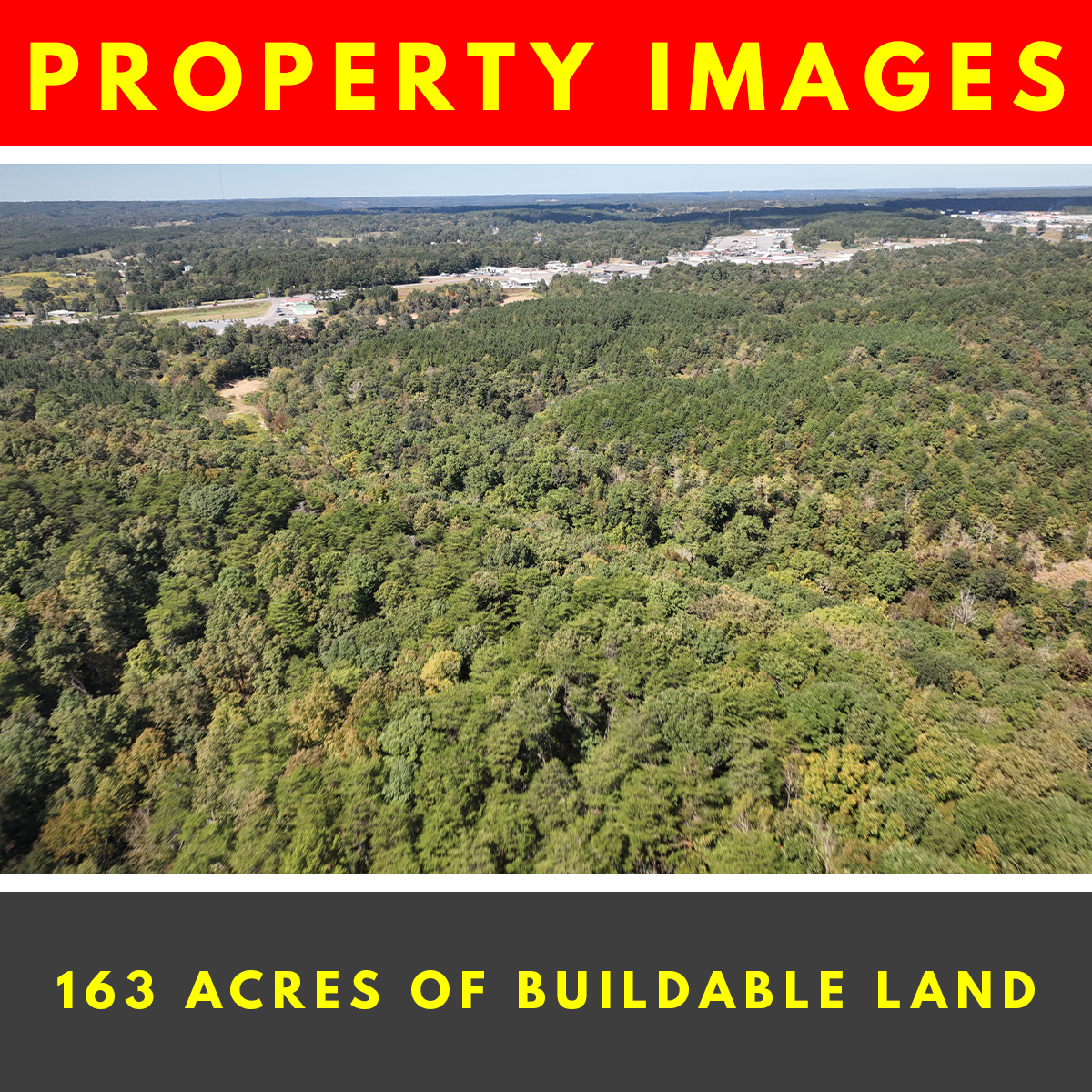 SURE WIN! Achieve Financial Freedom in this 163 Acres Lot in Cullman, AL, Sits between Birminham & Huntsville, Perfect for Real Estate Development & Recreational Spot, Endless Possibilities!