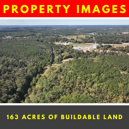 SURE WIN! Achieve Financial Freedom in this 163 Acres Lot in Cullman, AL, Sits between Birminham & Huntsville, Perfect for Real Estate Development & Recreational Spot, Endless Possibilities!