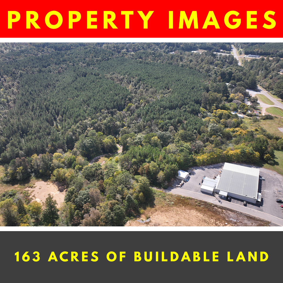 SURE WIN! Achieve Financial Freedom in this 163 Acres Lot in Cullman, AL, Sits between Birminham & Huntsville, Perfect for Real Estate Development & Recreational Spot, Endless Possibilities!