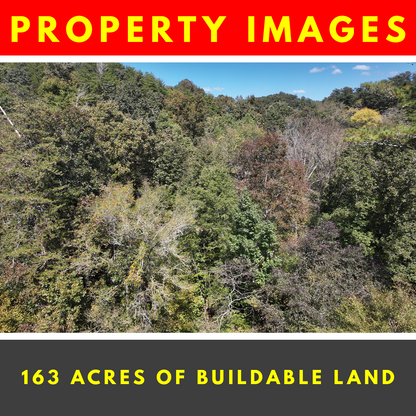 SURE WIN! Achieve Financial Freedom in this 163 Acres Lot in Cullman, AL, Sits between Birminham & Huntsville, Perfect for Real Estate Development & Recreational Spot, Endless Possibilities!