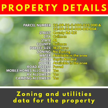 SURE WIN! Achieve Financial Freedom in this 163 Acres Lot in Cullman, AL, Sits between Birminham & Huntsville, Perfect for Real Estate Development & Recreational Spot, Endless Possibilities!